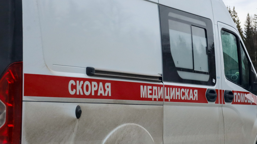    Фото: www.globallookpress.com/Elena Mayorova