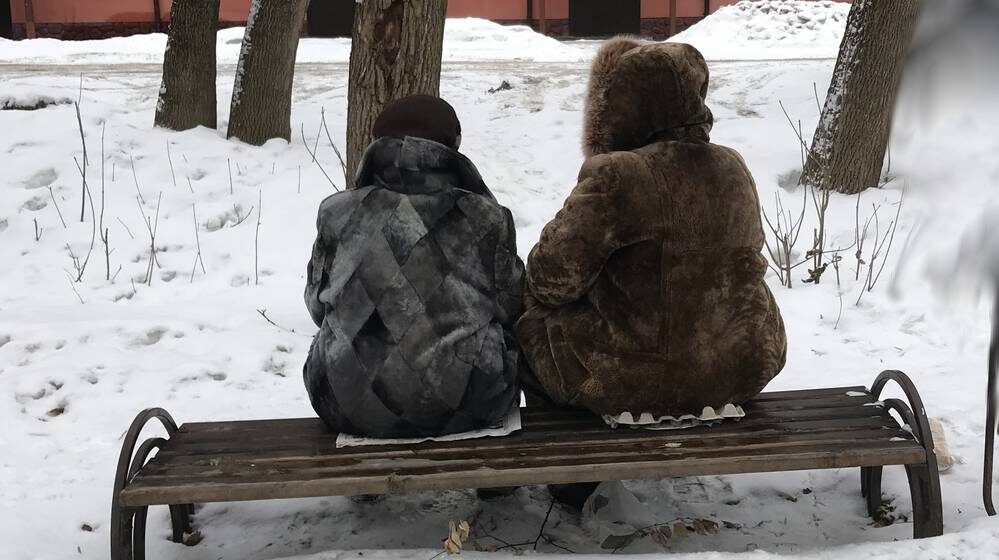    Фото: "Брянские новости"