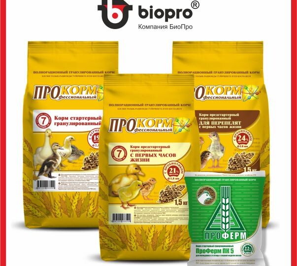 Больше, чем порошок: как «невидимые» помощники экономят бюджет на корма