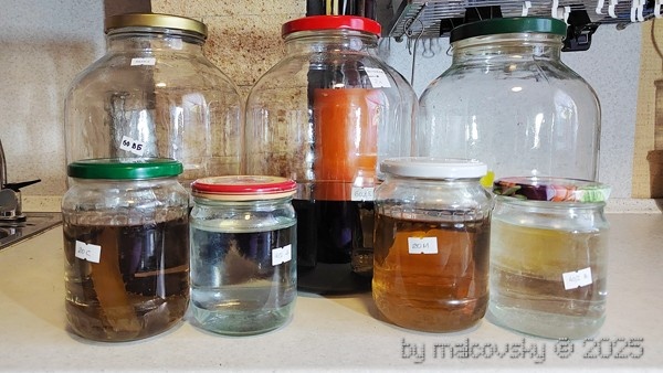 Проект "Текила". День 90