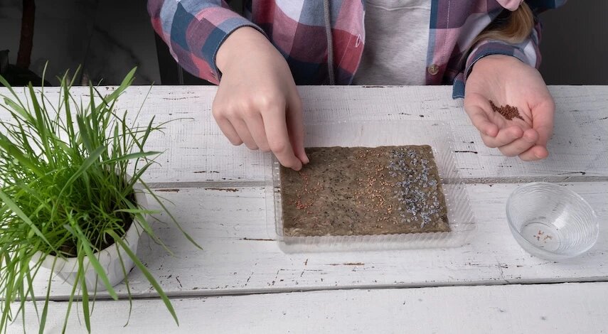 фото 123RF/stokovyadevocka