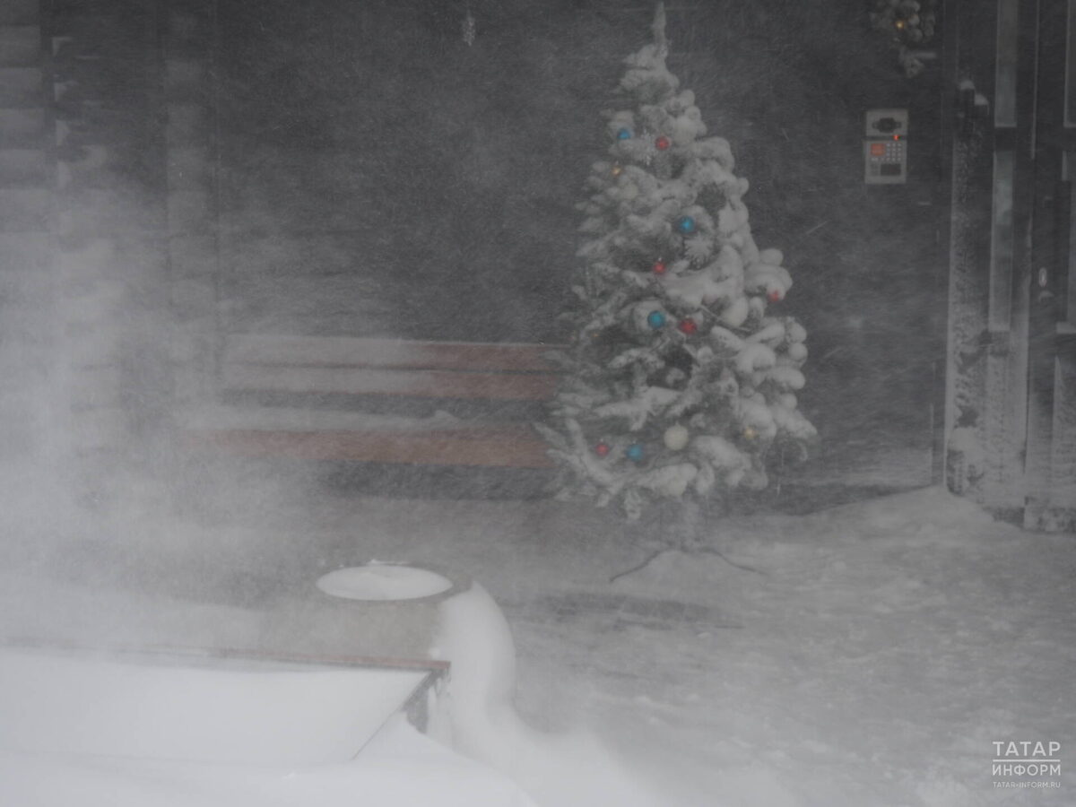 Фото: © Рамиль Гали / «Татар-информ»