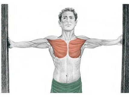Растяжка грудных мышц в дверном проеме