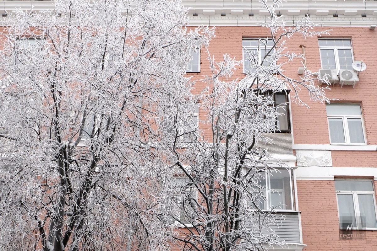     / Источник: Наталья Стрельцова © ИА REGNUM