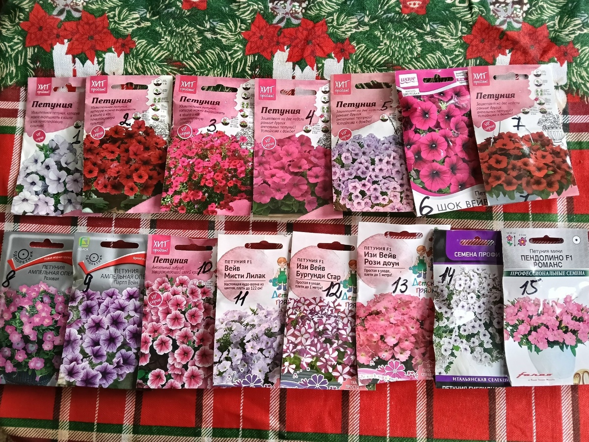 Семена 15 сортов компаний Агросидстрейд, Поиск уже не раз проверенные на деле.