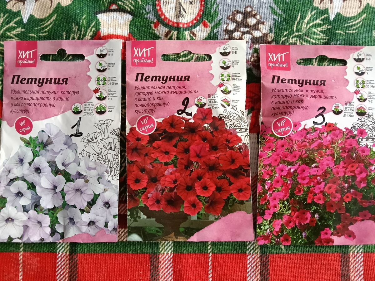 Сортосерия Тайдал