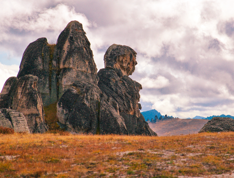 Тут похоже на голову человека