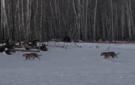    Источник фото: