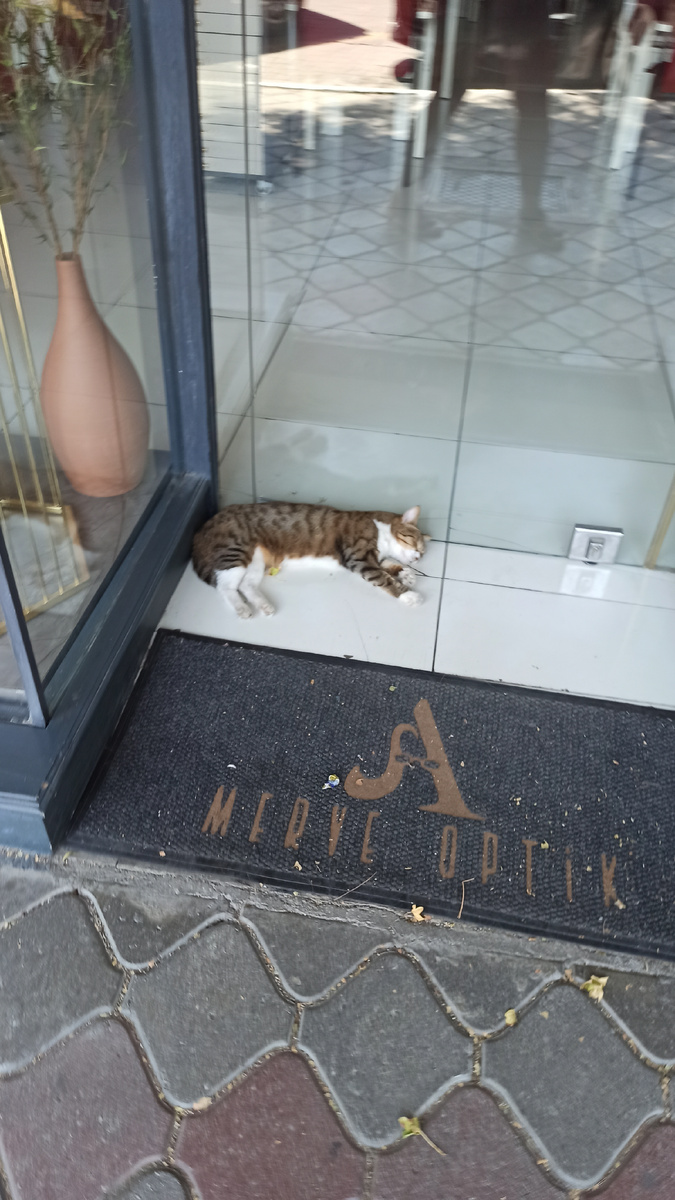 Фетхие. Фото автора