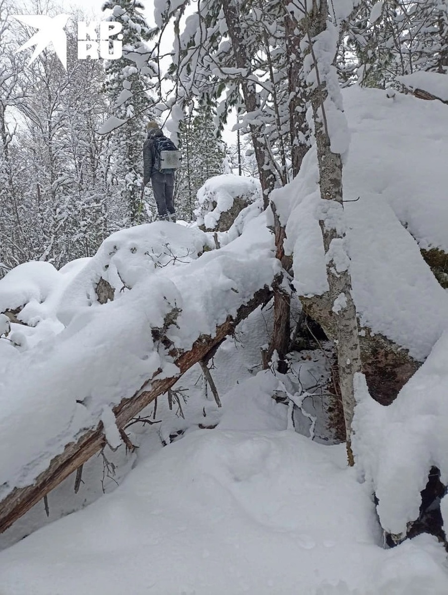    В таких условиях вели поиски волонтеры 8 октября. Фото: Алексей Исиченко