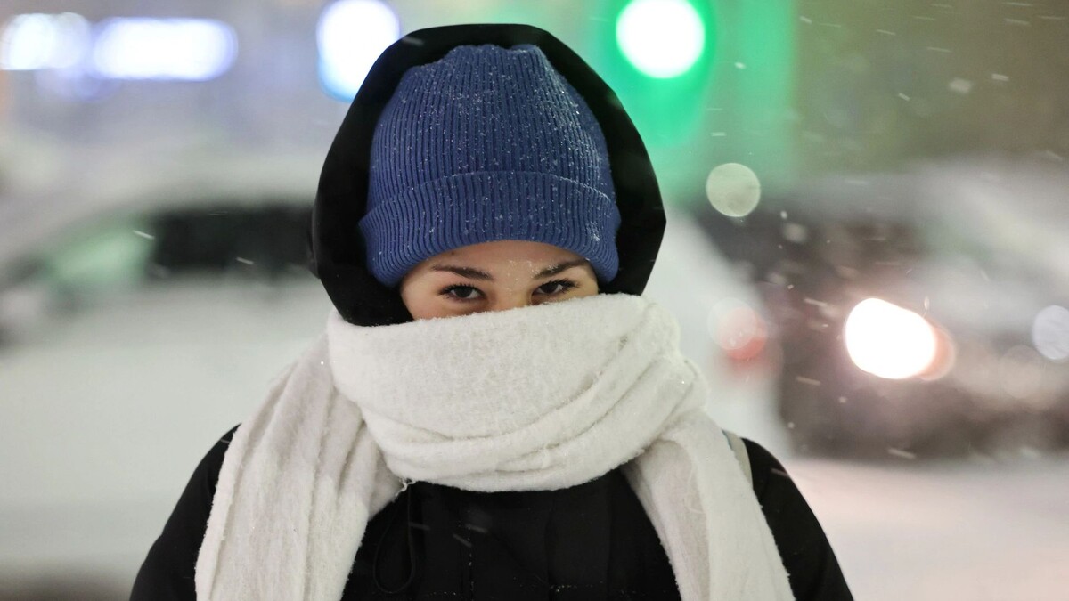    Фото: Андрей Ткачев/«Ямал-Медиа»