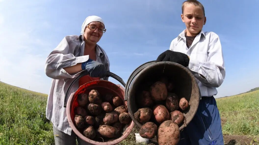    Фото: Царьград