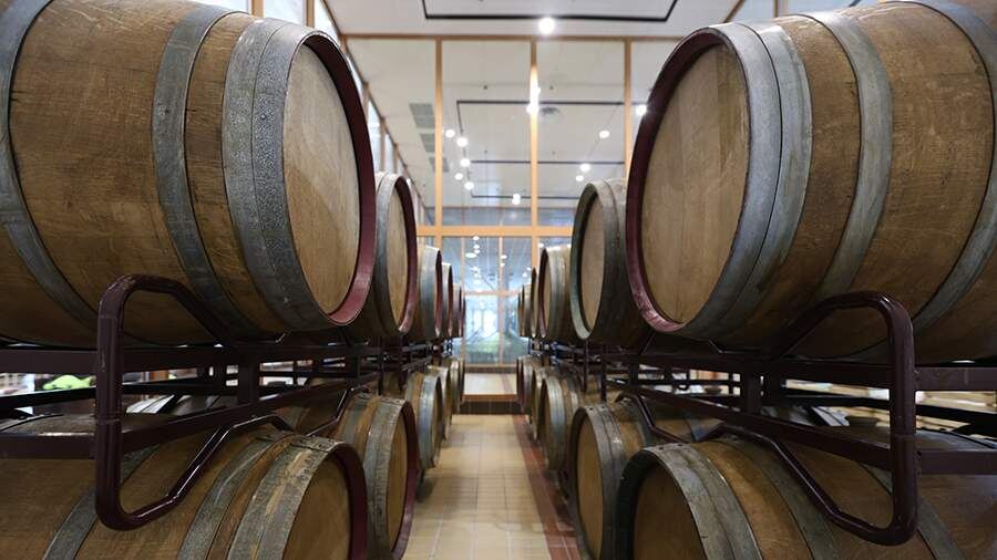    Фото: ИЗВЕСТИЯ/Евгений Павлов