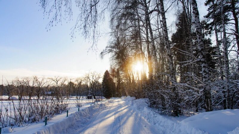     Снег. Зима в Барнауле. Сугробы. Мороз. Дендрарий Дмитрий Лямзин