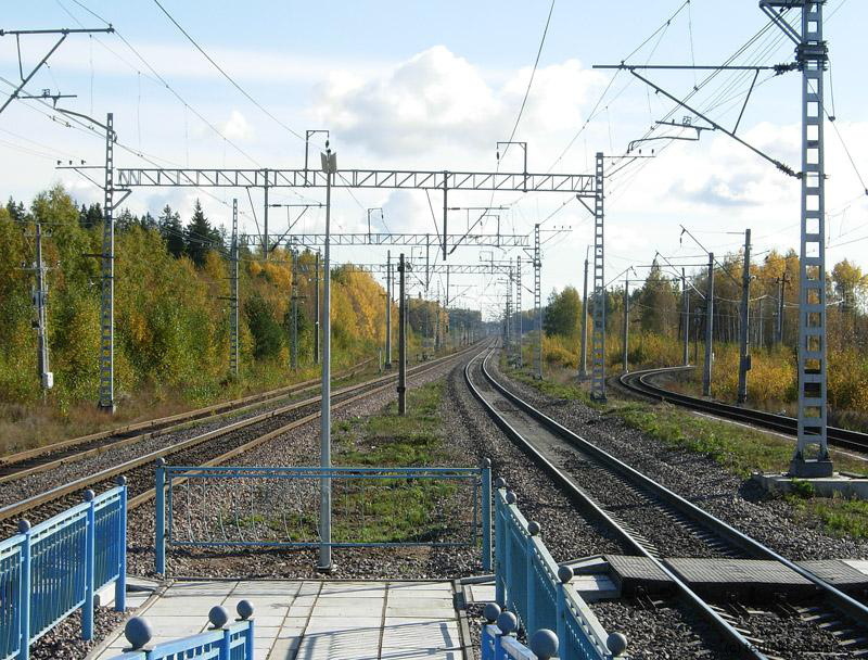 Лазаревка: Вид с пассажирской платформы в сторону Санкт-Петербурга, октябрь 2011 г.Фото Д. Веревкина