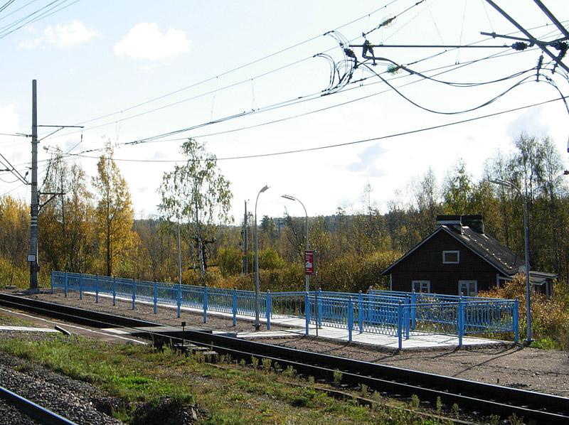 Лазаревка: Место остановки пригородных поездов Приморского направления, октябрь 2011 г.Фото Д. Веревкина