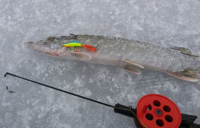 Снасть для ловли на балансир: от удильника до поводка - гид бывалого рыболова