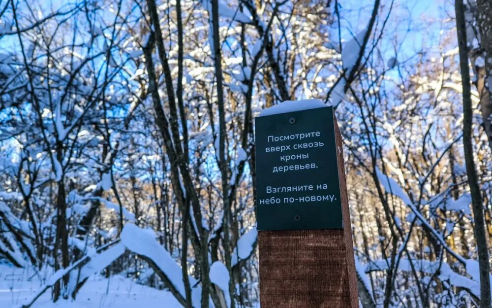    Фото: Алексей Афонин