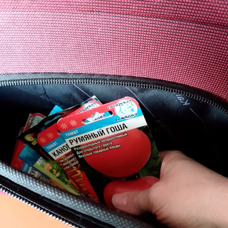 Тот самый карман в чемодане