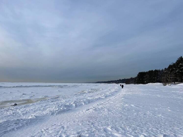     Температура воздуха -14…-16°. Фото: архив МК в Питере