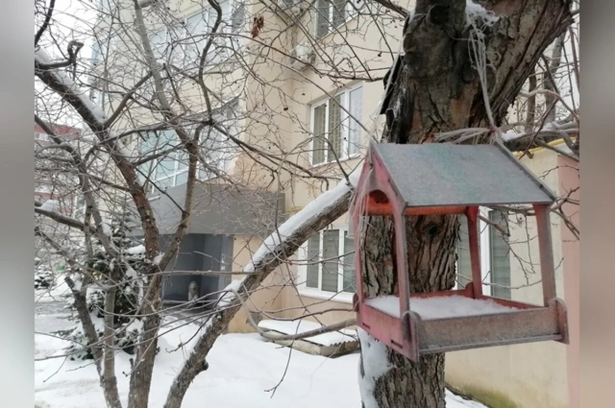    Антициклон уходит из Оренбуржья под натиском циклонического вихря