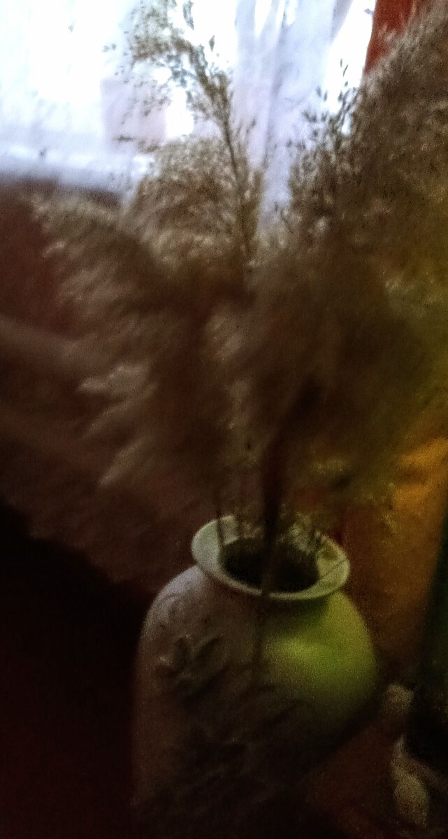 Сегодня рано утром сделала фото 😉