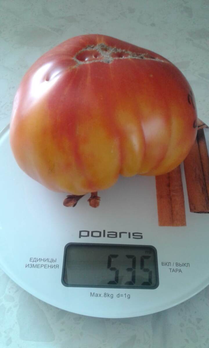 Биколор Marvel Strip