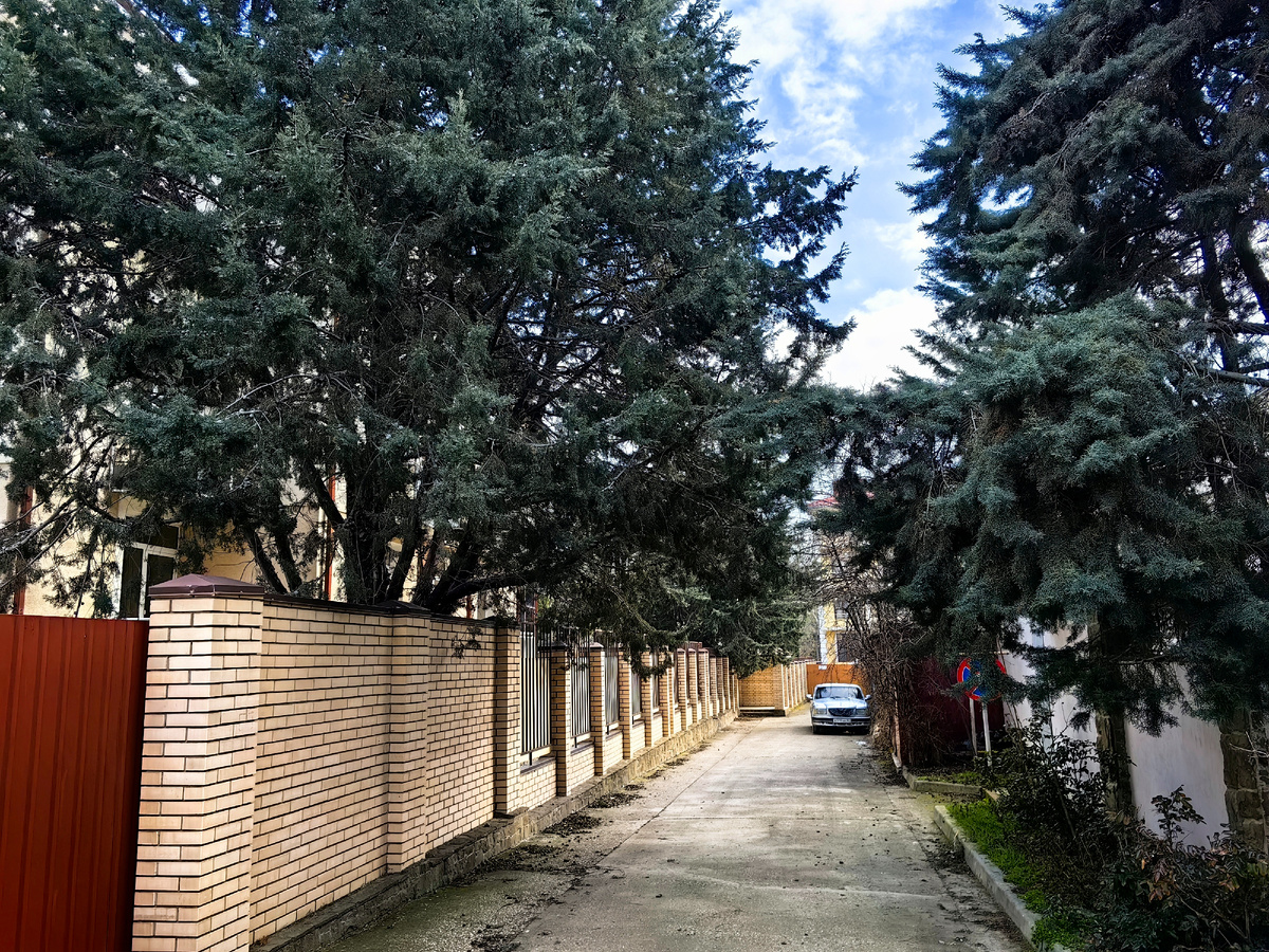 Сегодня. Фото автора канала