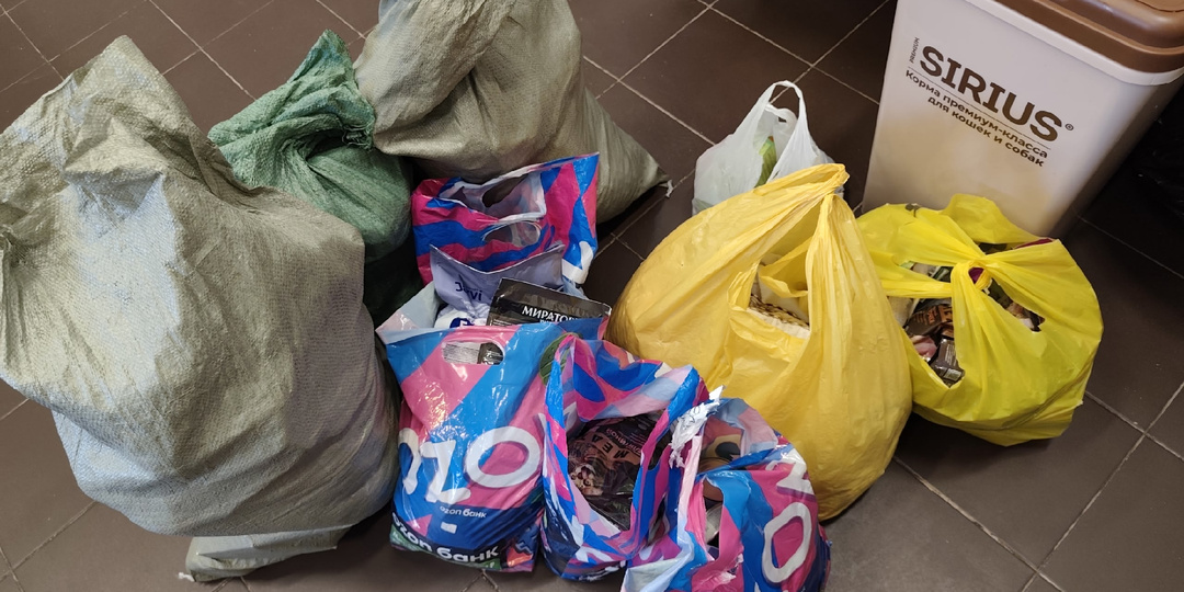 Коты говорят спасибо 🐾😻