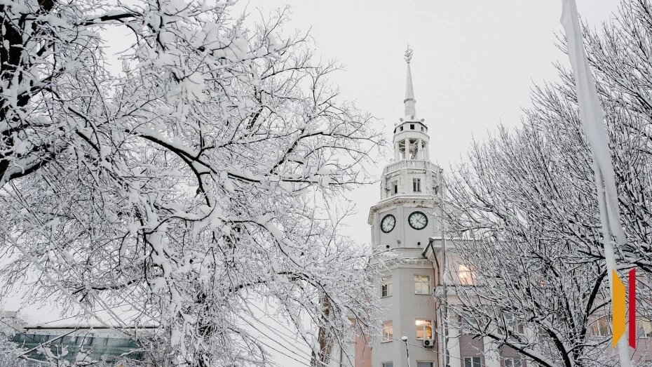    Автор фото: архив РИА «Воронеж»