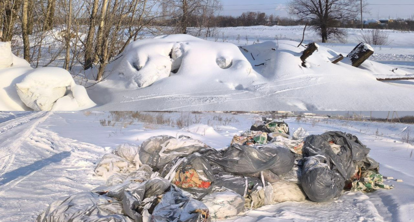    Фото: Министерство экологии и природных ресурсов РТ