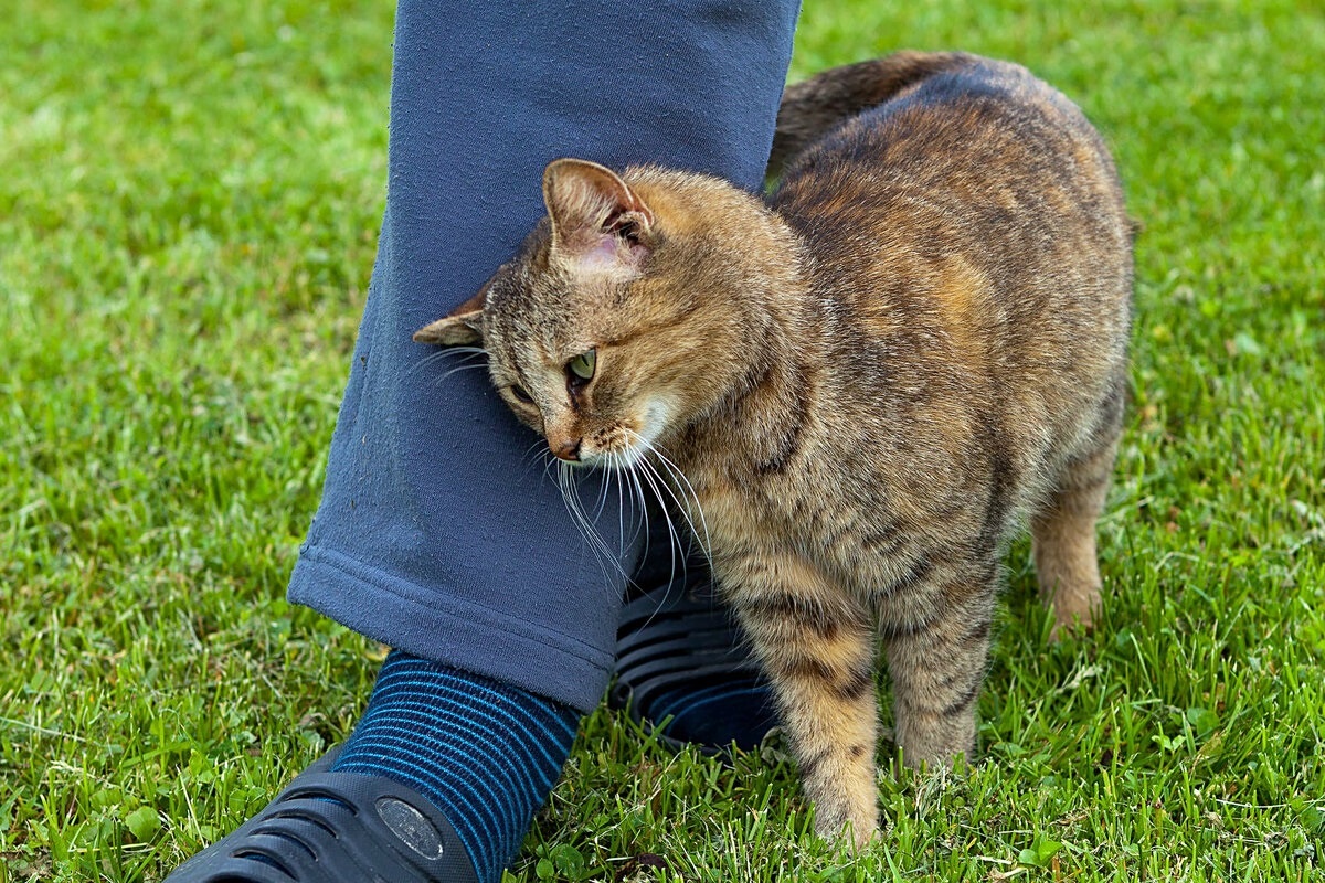 Фото с сайта: https://dzen.ru/a/YmG2O5lAJVBPIivf