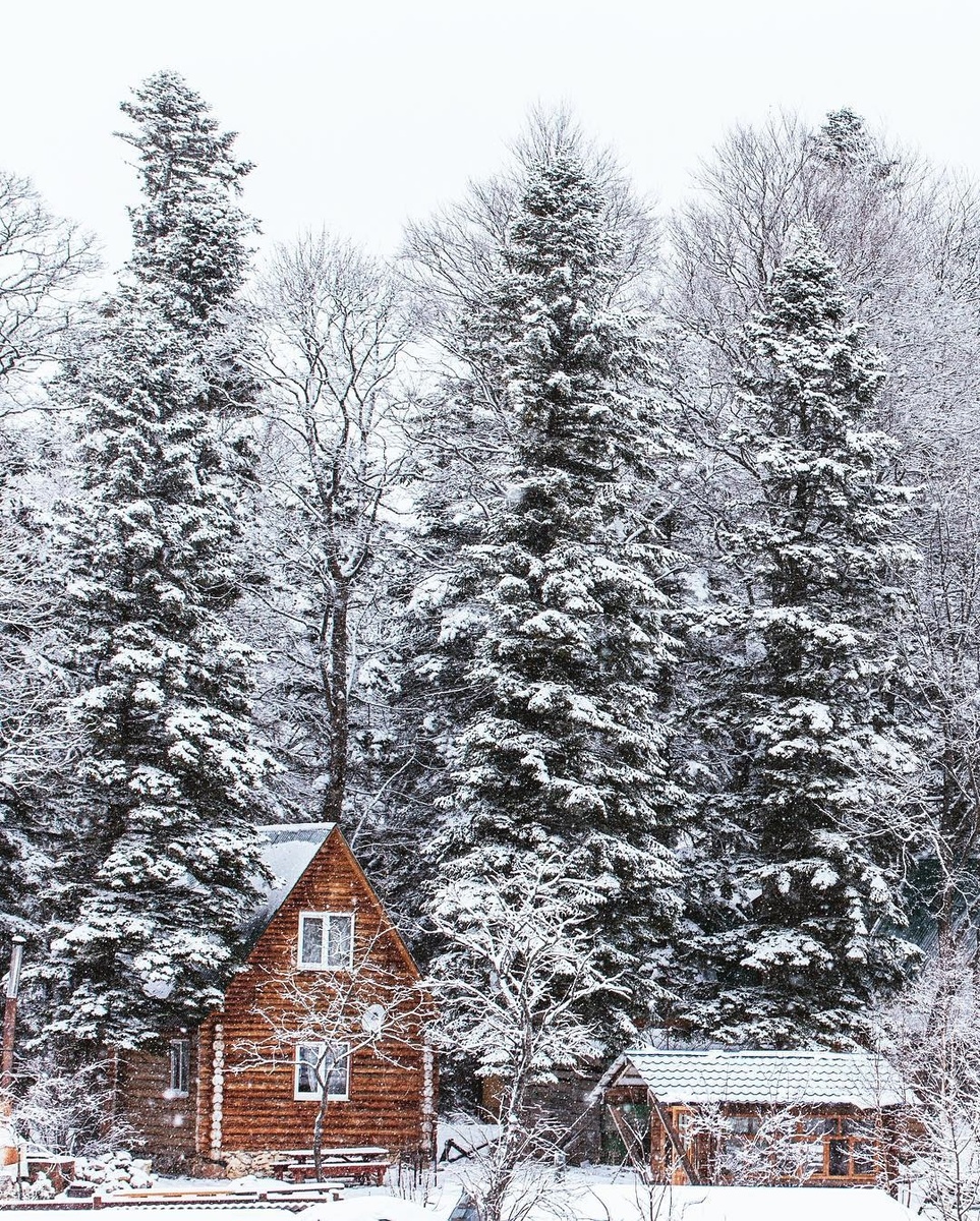 📷 zhenya_makhanko