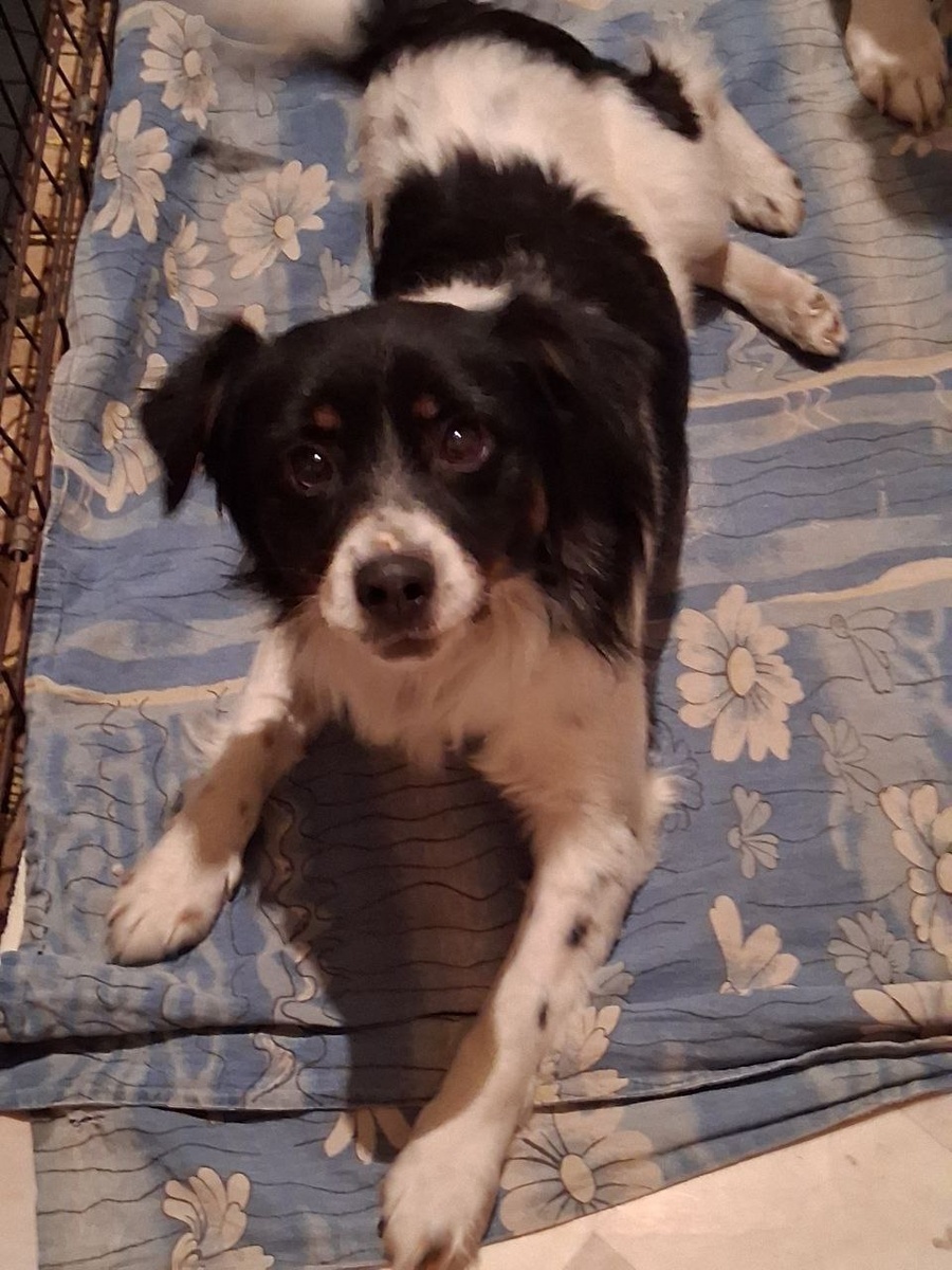 Малыш Тимофей