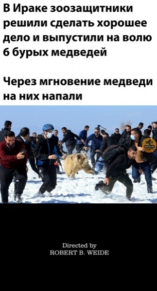 Смех из социальных сетей! Забавные шутки, забавные случаи и веселые рассказы. Фото взято из общедоступных ресурсов соцсетей.