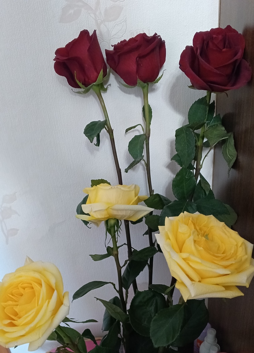 фото автора: а я продолжаю любоваться подаренными розами