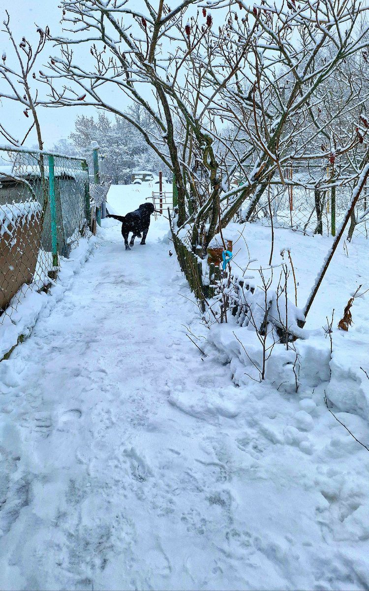 Фото автора 