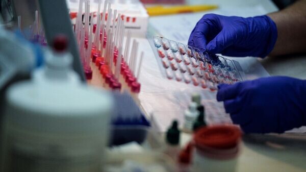    © РИА Новости . Владимир Астапкович