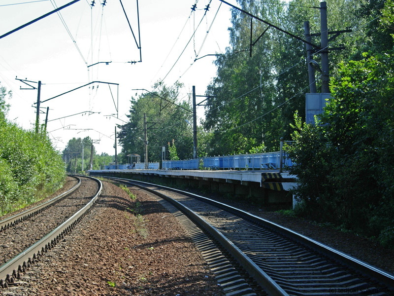 Платформа № 2 (направление к Санкт-Петербургу). Фото: Д. Верёвкин, 14.08.2012 г.