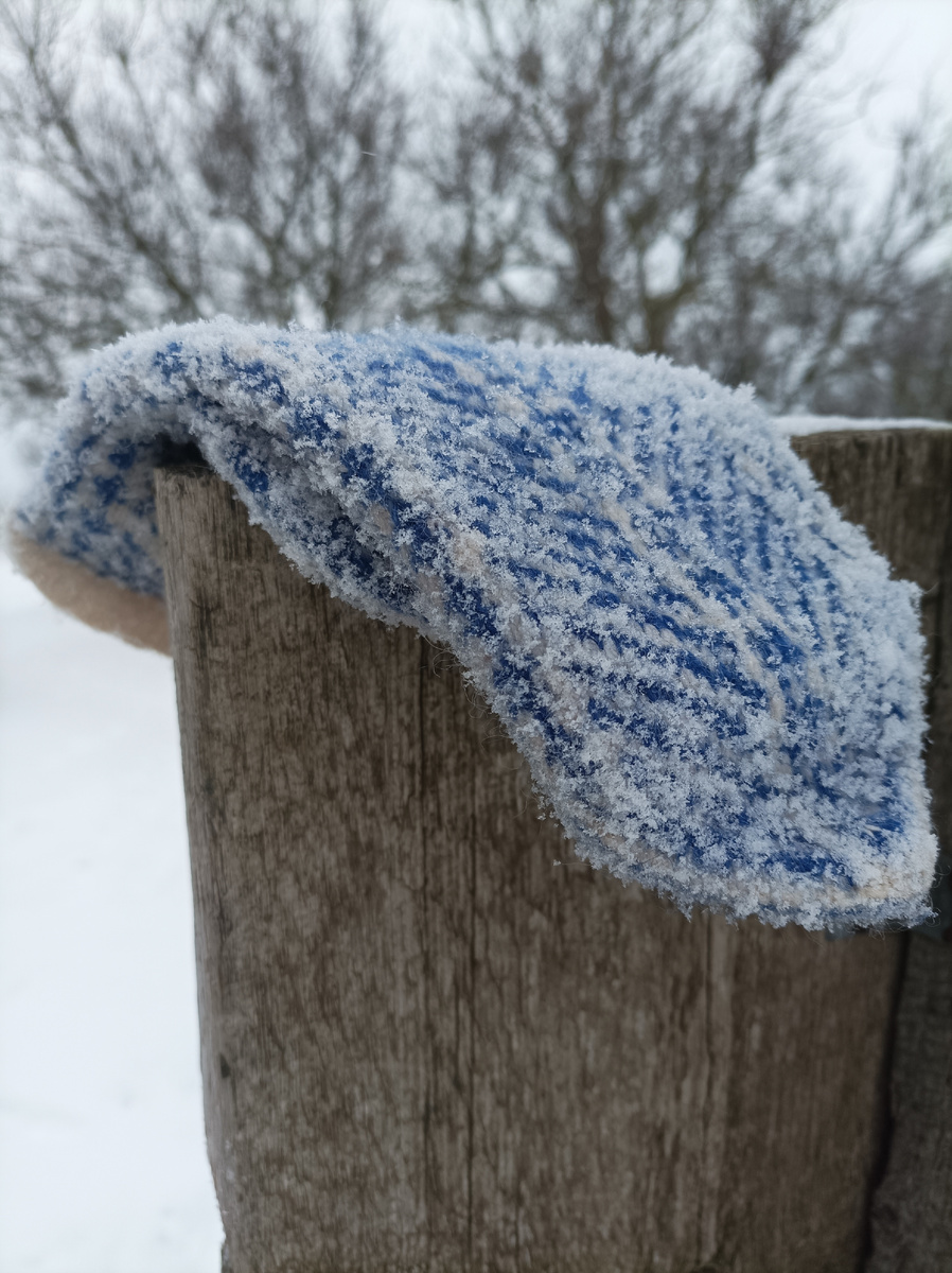 фото автора.