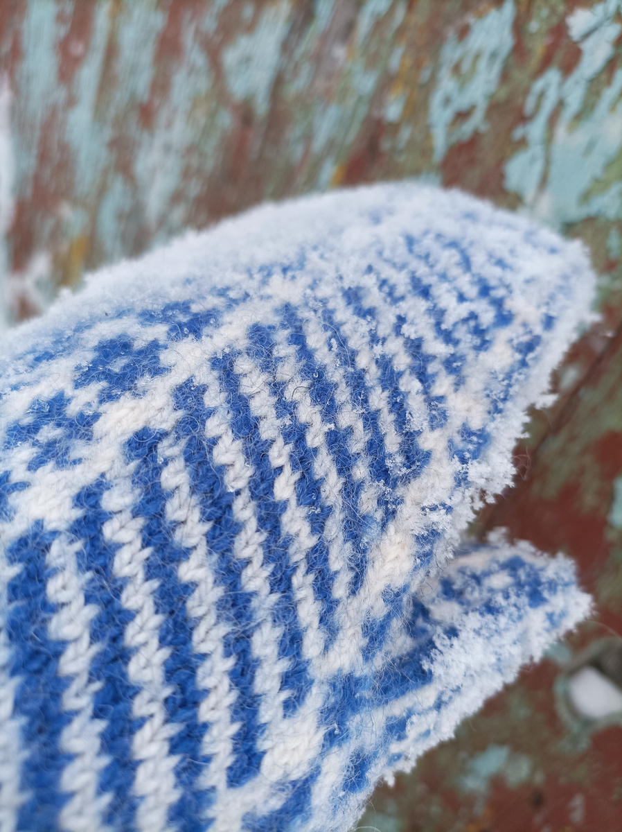 фото автора.