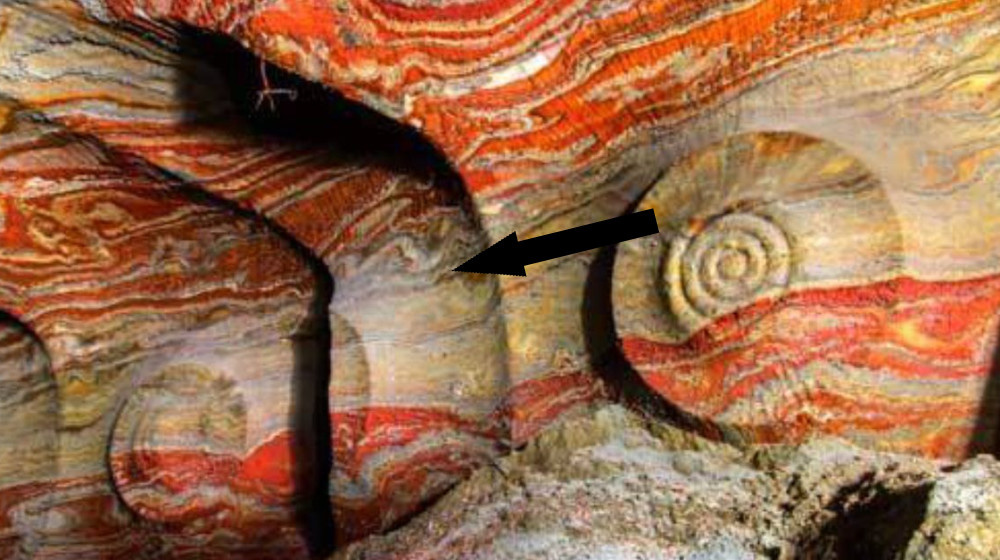    Подземный Космос жизни поражает учёных