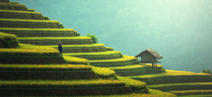 Рублю на пути превращения в юань приходится карабкаться по трудным ступеням / Фото: pxhere.com