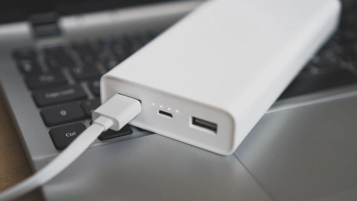    Фото: M-Production/Shutterstock/Fotodom