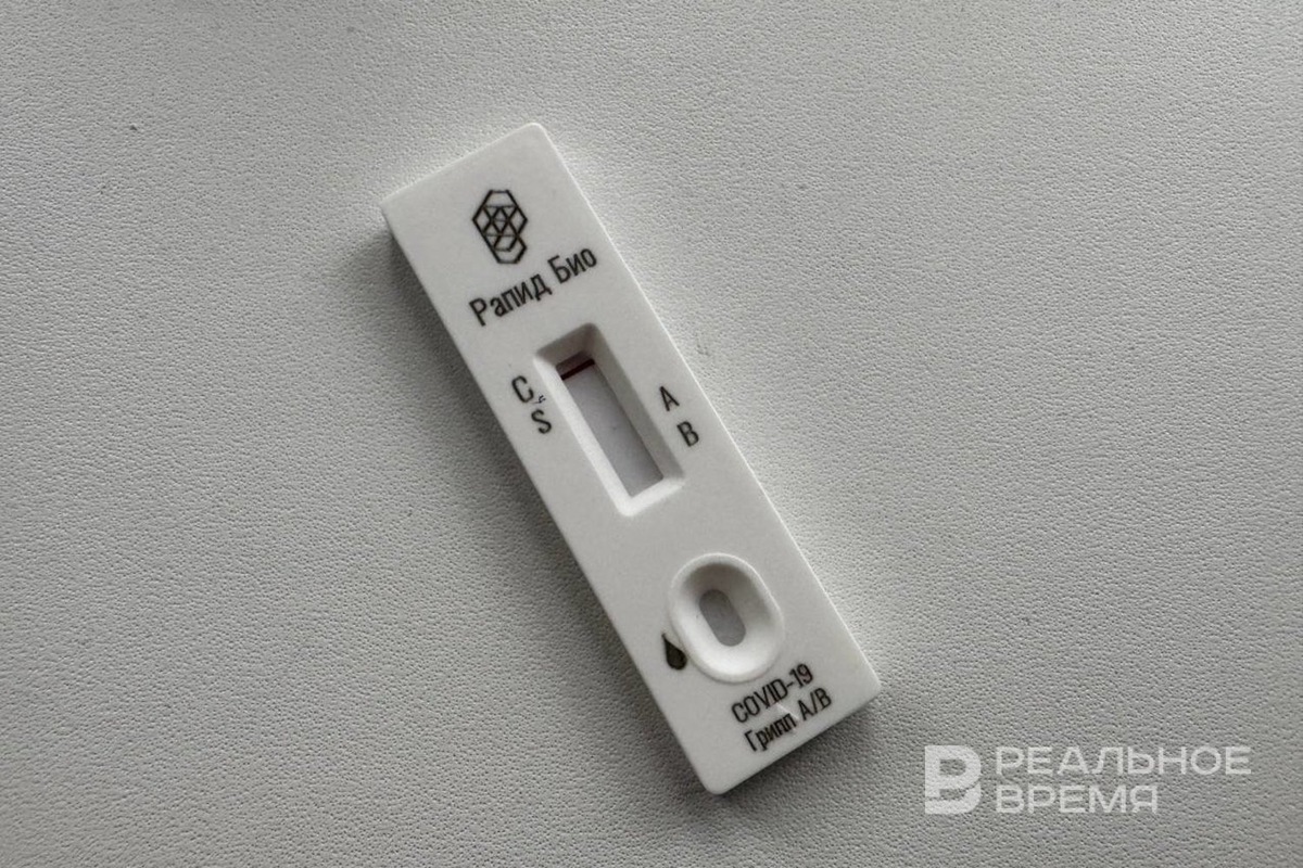   Дарья Пинегина / realnoevremya.ru