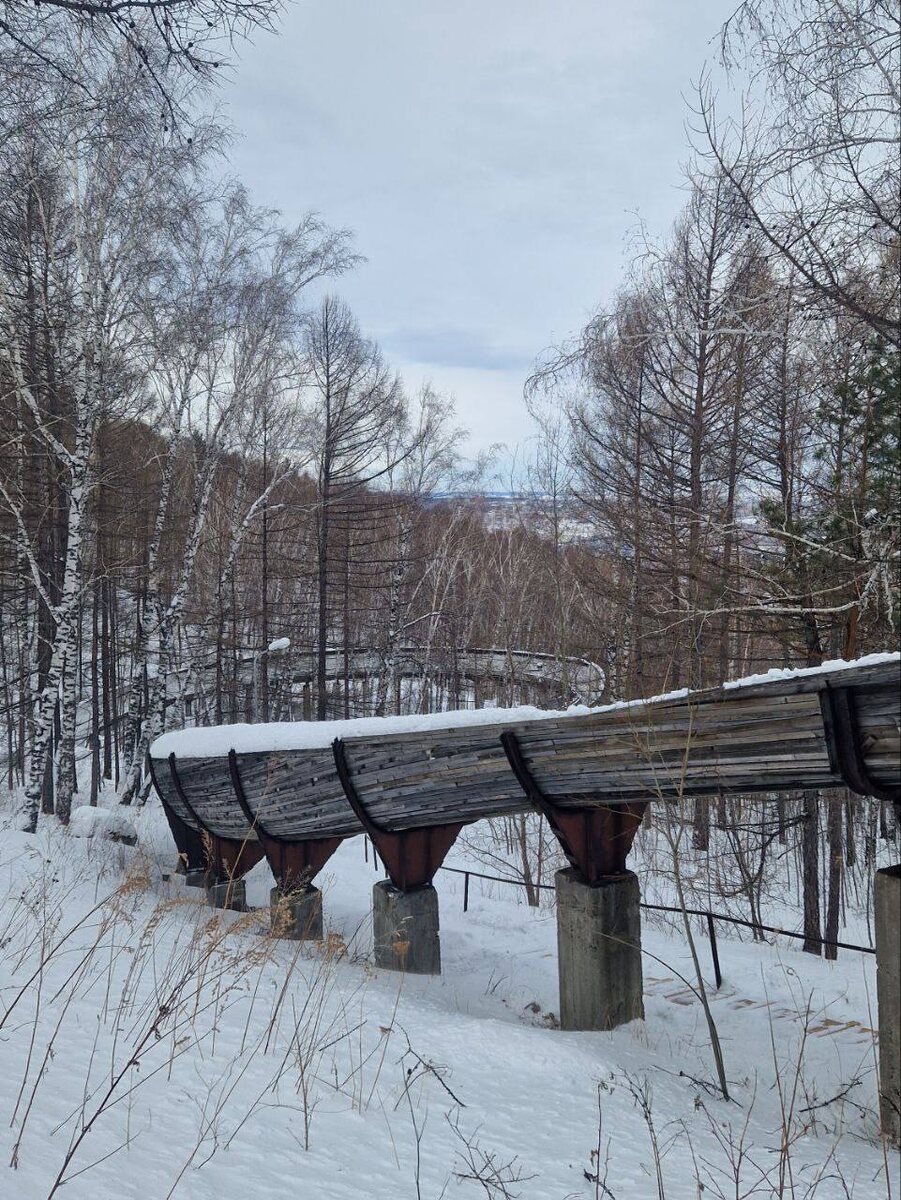     В Красноярске планируют запустить спуски на туристических бобах и санях