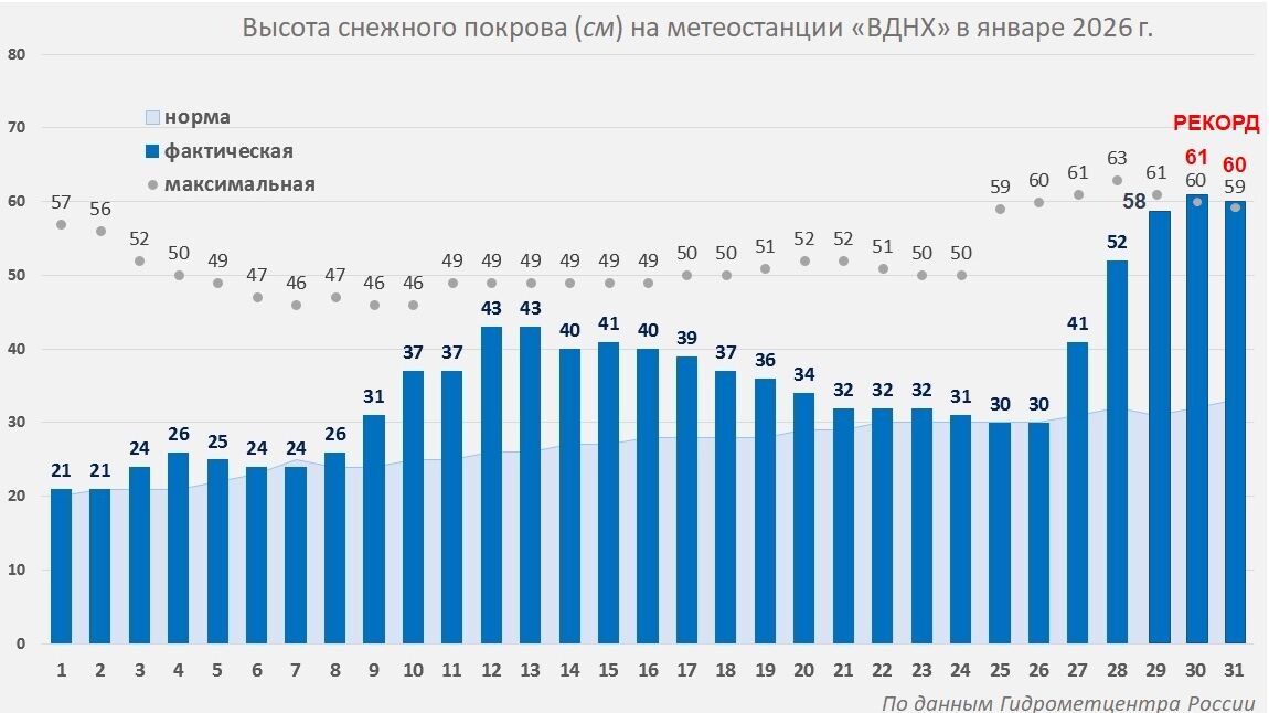 Динамика снежного покрова на ВДНХ в январе 2026 г. 