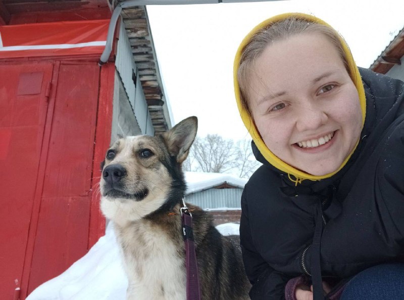 Подопечные базы реабилитации животных г. Новосибирска