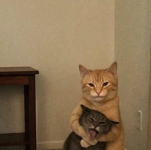 ещё вопросы?)