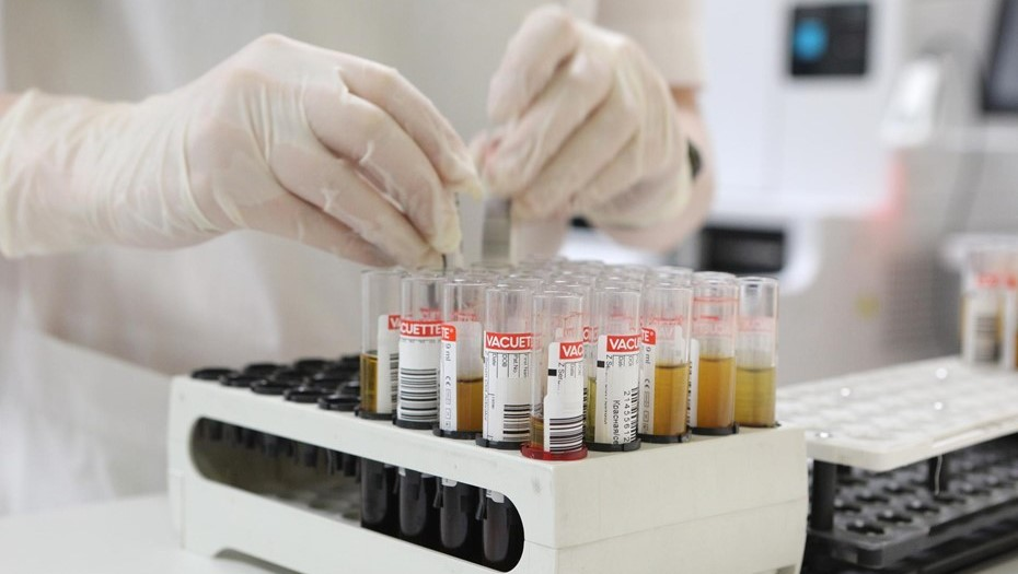 Автор фото: Верещагина Лидия